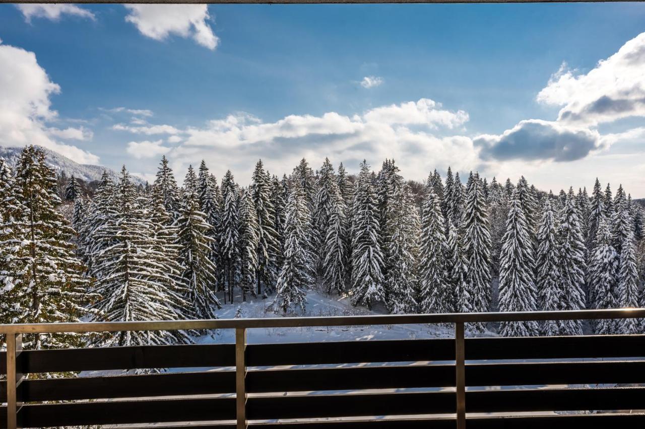 Silver Mountain - Ana'S Apartments Пояна-Брашов Екстер'єр фото